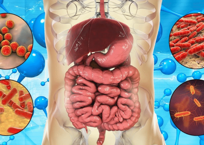 Usus Sehat, Pikiran Tenang: Menjaga Keseimbangan Gut-Brain Axis