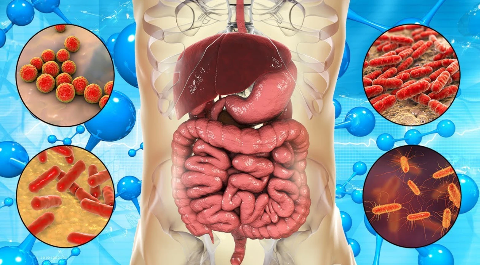 Usus Sehat, Pikiran Tenang: Menjaga Keseimbangan Gut-Brain Axis