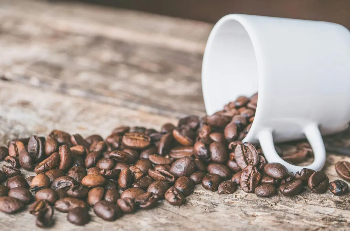 Tips Bikin Kopi Enak Investasi Kecil untuk Sensasi Rasa Maksimal